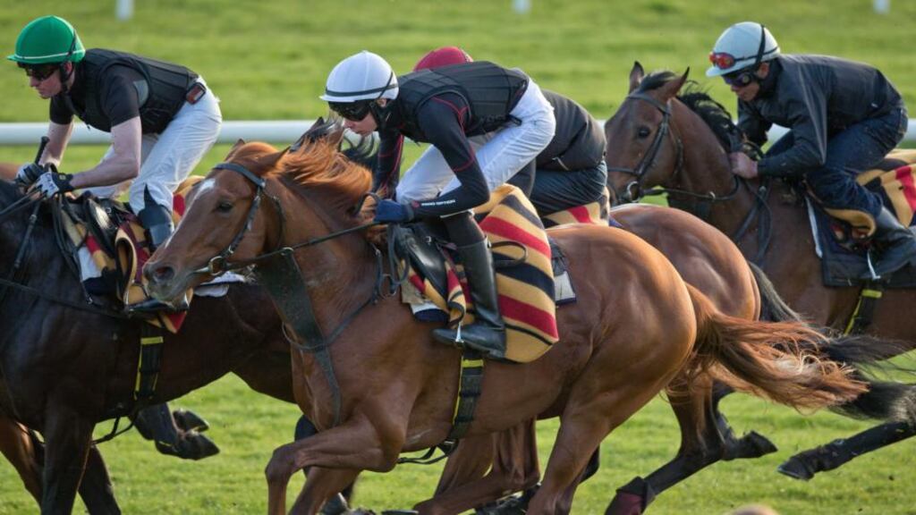 Joseph O’Brien (white cap) puts Classic hope Australia through his paces as part of the Ballydoyle schooling session at the Curragh yesterday. Photograph: Morgan Treacy/Inpho