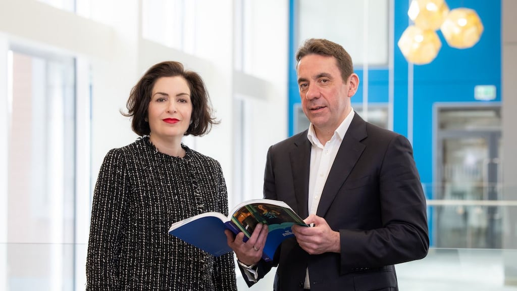 Bank of Ireland's departing chief executive Francesca McDonagh, who is set to be replaced by former bank executive Myles O'Grady.