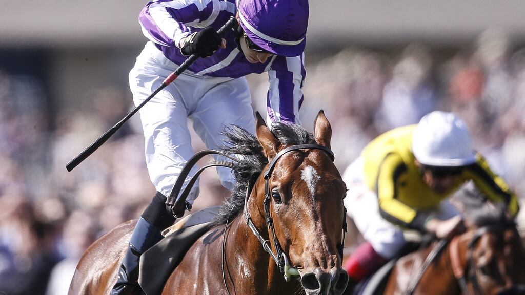 Donnacha O’Brien riding Saxon Warrior to victory in the Qipco 2000 Guineas Stakes at Newmarket. Photograph: Alan Crowhurst/Getty Images