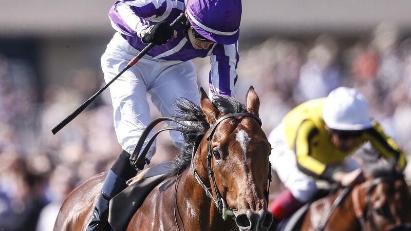 Saxon Warrior heads 12-strong field for Irish Derby