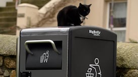 Dun Laoghaire bins worth €2.3m  attract illegal dumpers