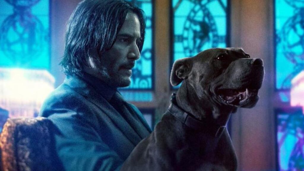 Two mutts: Keanu Reeves in John Wick: Chapter 3 – Parabellum