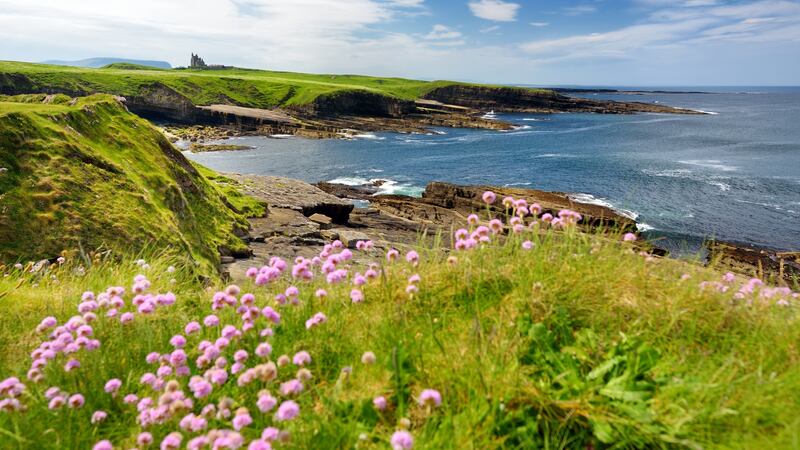 Spectacular view of Mullaghmore Head with waves rolling ashore – a signature point on the Wild Atlantic Way, Co Sligo