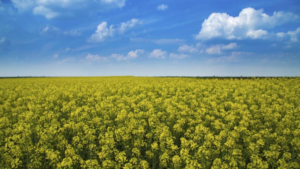 If Monsanto does not merge with Syngenta, its may seek alternative ways to help expand its portfolio of herbicides and agricultural chemicals