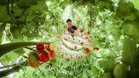 ‘Every day is a horror story’: Tomato producers battling with rising energy prices