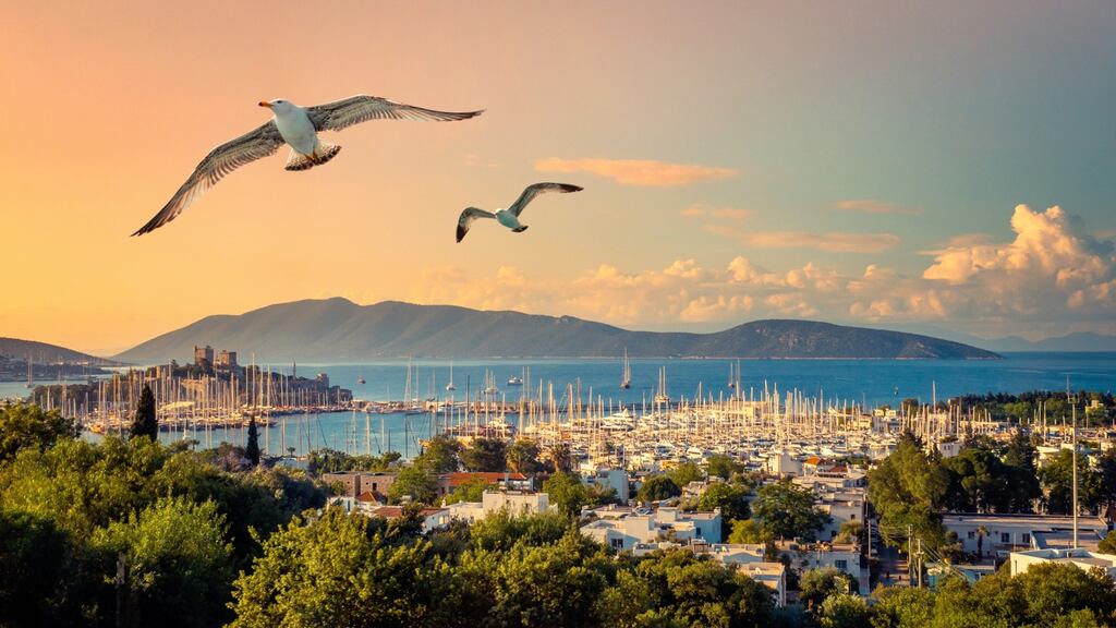 Yachts in a Bodrum harbour, with the medieval castle of St Peter in the distance. Photograph: Shutterstock