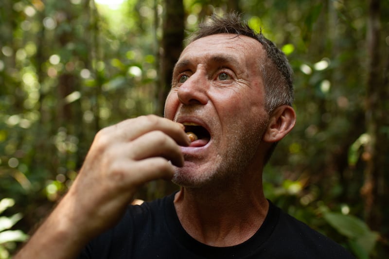 Tribe with Bruce Parry: Parry about to eat a pam weevil grub in the Colombian Amazon. Photograph: Rory Jackson/Frank Films/BBC