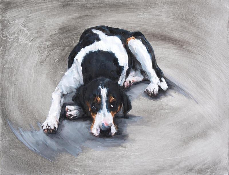 Dede Gold KIlkenny Hound