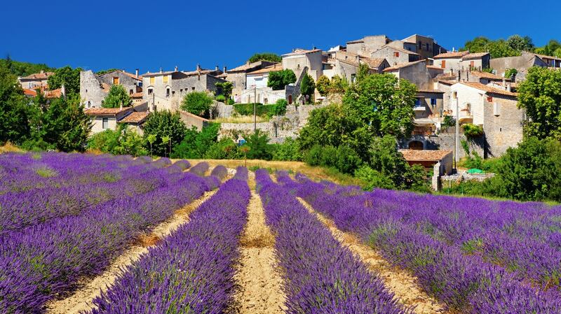Lavender field with a small town in Provence  Location: Cereste, Provence, France.