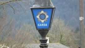 Woman dies 11 days after Kildare crash