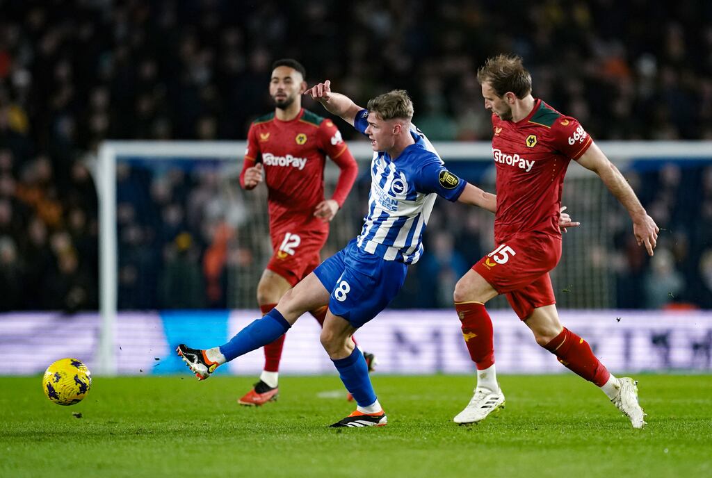 Brighton and Hove Albion's Evan Ferguson against Wolves. Photograph: Adam Davy/PA
