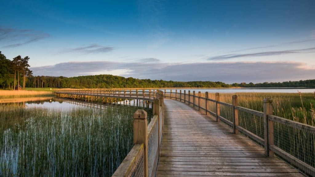 The Collop Walk on Fermanagh’s Lough Erne. The area is a maze of tiny islands abundant with birdlife, while the lower lake is a vast expanse of open water, home to holy islands and ancient artefacts