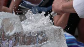 ‘Dolphin ice sculpture’ part of €13,000 spend on Cork IT chief’s departure