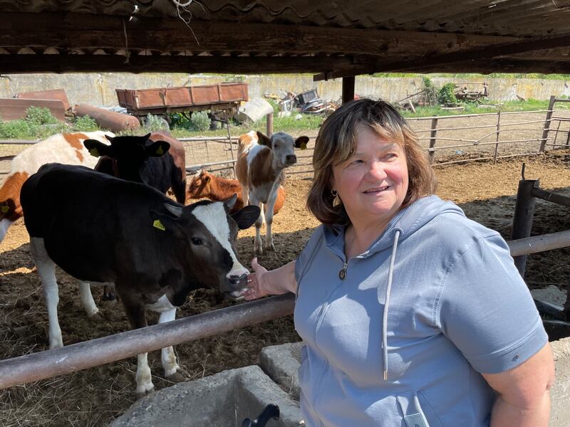 Lubov Zlobina on her farm in Mala Rohan village in eastern Ukraine. The village was occupied by Russia's invasion force in February-March 2022 and suffered heavy damage, including the death of much livestock. Photograph: Daniel McLaughlin