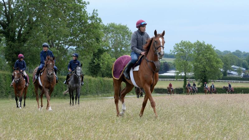 Copper Beech Stables in advance of the resumption of racing in Ireland as Covid-19 restrictions are lifted. Photograph: Alan Betson