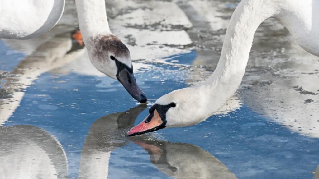 Photograph: iStock/Getty