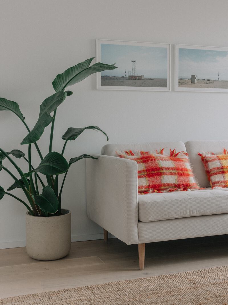 Summerage: All the yellow and red cushions and throws in the house were made by the Tweed Project. Photograph: Shantanu Starick