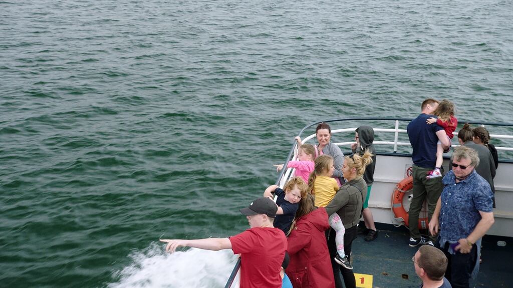 Four Seasons in One Day: we are never entirely sure which side of the Border we are on as we accompany the ferry that crosses Carlingford Lough, shuffling people and cars between Co Louth and Co Down
