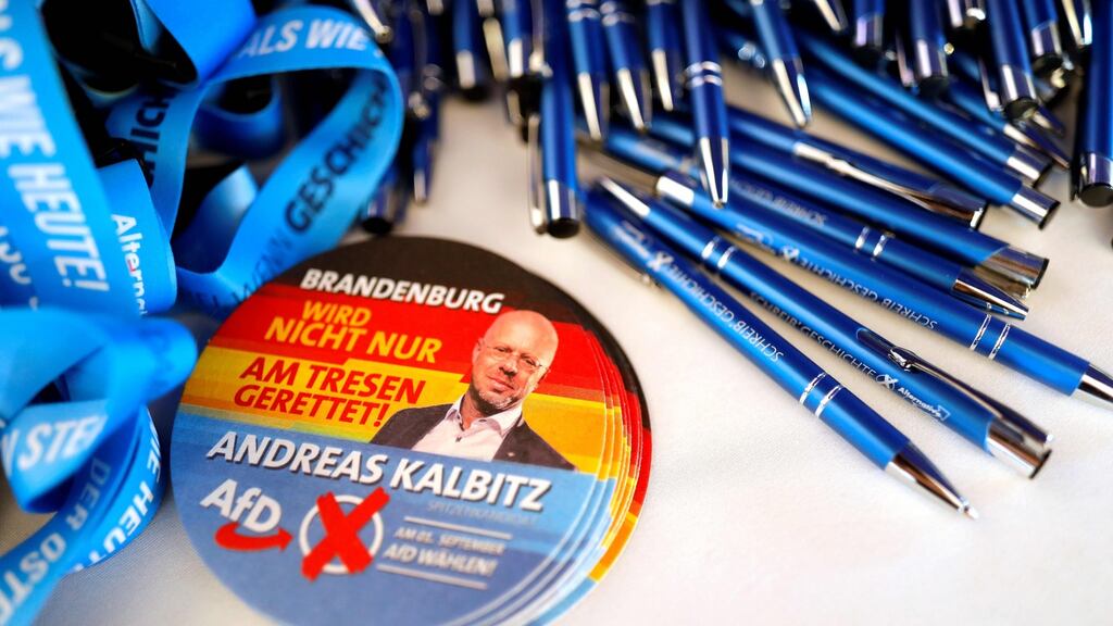 Pens and stickers bearing a portrait of Andreas Kalbitz, member the far-right AfD (Alternative for Germany). Photograph: Odd Andersen/AFP/Getty Images.