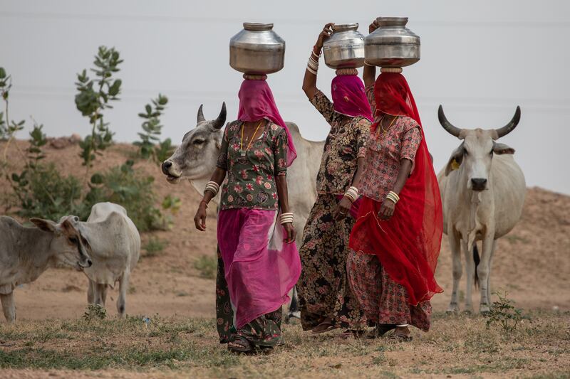 Karen Cox, Women of the Thar Desert. Photograph: Karen Cox