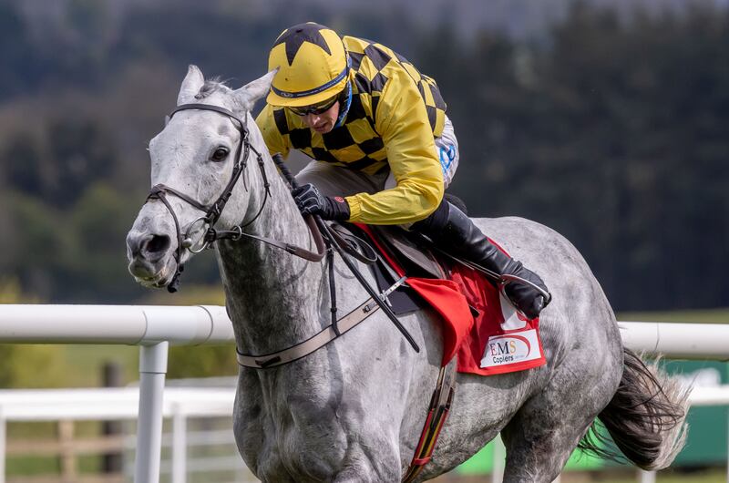 Bryan Cooper onboard Asterion Forlonge comes home to win the EMS Copiers Novice Handicap Steeplechase in Punchestown on April 30th, 2021. Photograph: Morgan Treacy/Inpho
