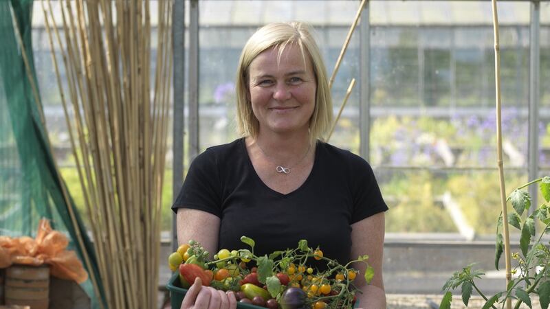 Gardener Aisling O’Donoghue with a selection of tomatoes grown in the National Botanic Gardens. Photograph: Richard Johnston