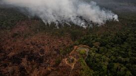 ‘There’s no need for all this outrage.’ Many in the Amazon defiant over fires