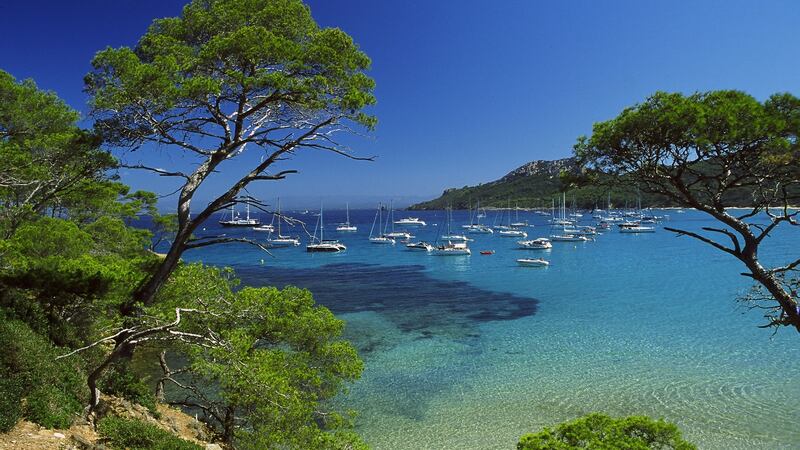 Île de Porquerolles (18)
