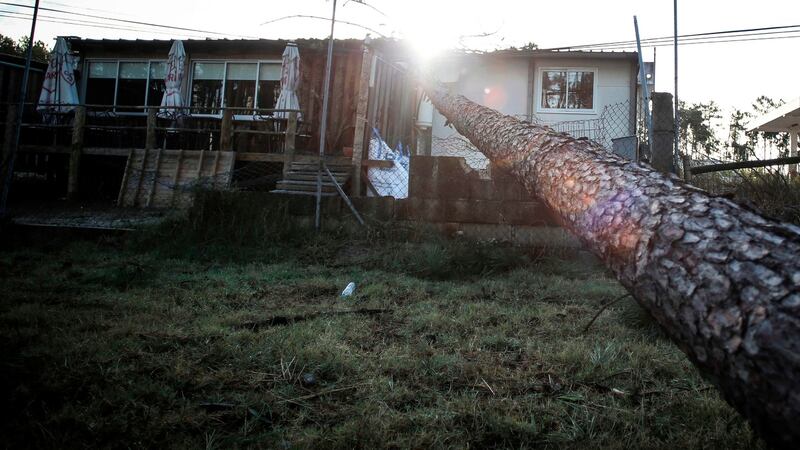 A damaged house is pictured after a tree fell on during storm Leslie in Figueira da Foz. Photograph: Getty