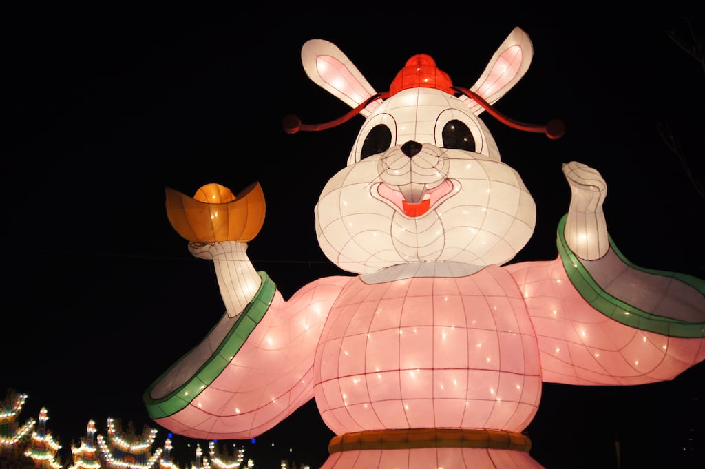 The Chinese New Year has ushered in the year of the rabbit, characterised as quick-witted, studious, agile and peaceful. Photograph: Jerry Chen