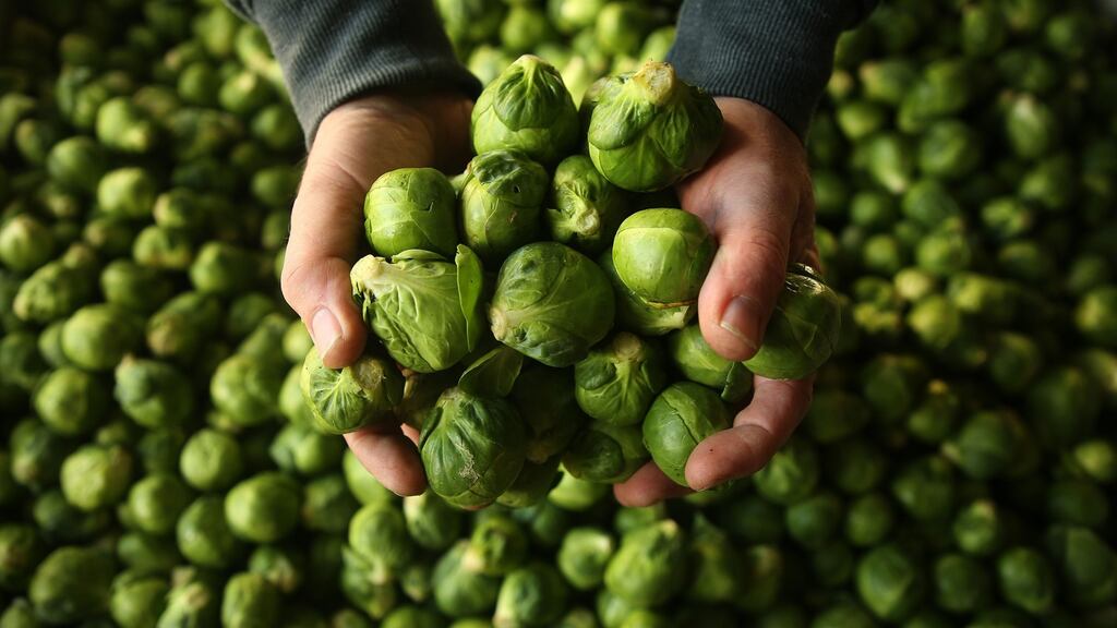 New research shows green leafy vegetables, including Brussels sprouts, can help cut the risk of developing dementia later in life. Photograph: Brian Lawless/PA Wire