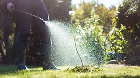 Ireland unlikely to follow Germany in banning weed killer glyphosate