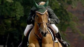 RDS plans €35m spend to redevelop its main stadium