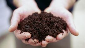 Gardening: Ditch the chemicals and go natural