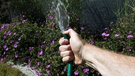 Most people underestimate daily water use by half