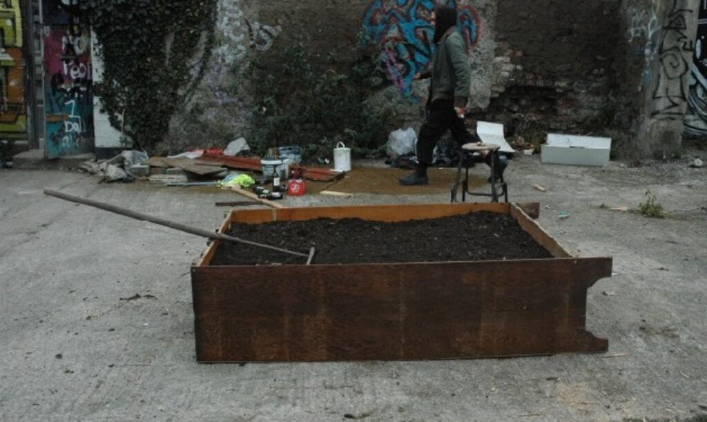 Photograph: Trinity News