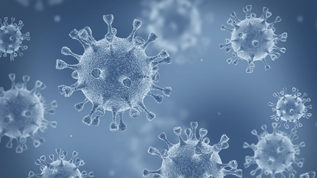 The Portlaw-Kilmacthomas local authority area, which borders Co Tipperary, had a 14-day incidence rate of 2,400.7 cases per 100,000 up to last Monday.