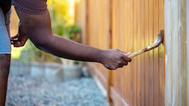 Boundary issues: who is responsible for my shared fence?