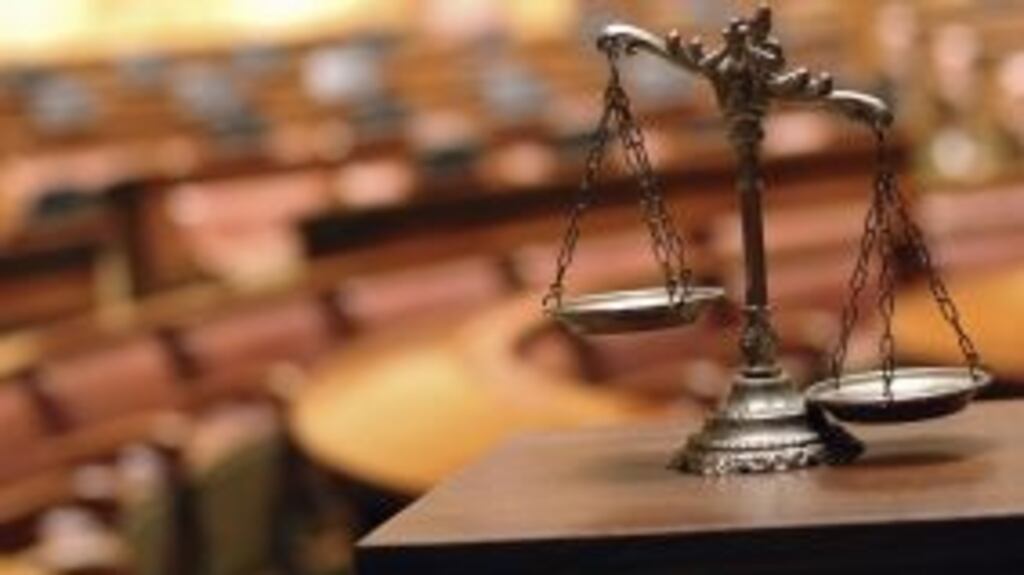 The pony, named “Chancer”, was “on its last legs”, the dentist claimed and was too small for her height of 5 feet, 8.5 inches. Photograph: Getty Images/iStockphoto