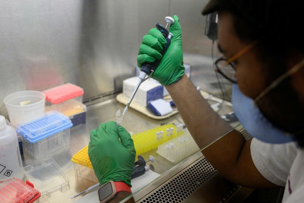 A research assistant prepares a PCR reaction for polio at a lab at Queens College in New York City. Photograph: Angela Weiss/AFP via Getty Images)