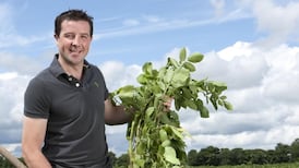 Potato farmer Tom Keogh wins Marketer of the Year
