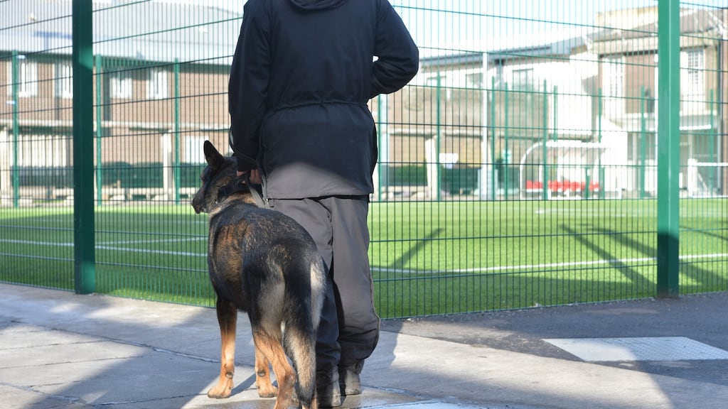 A prison Officer and a working dog inside Maghaberry Prison near Lisburn File photograph: Alan Betson