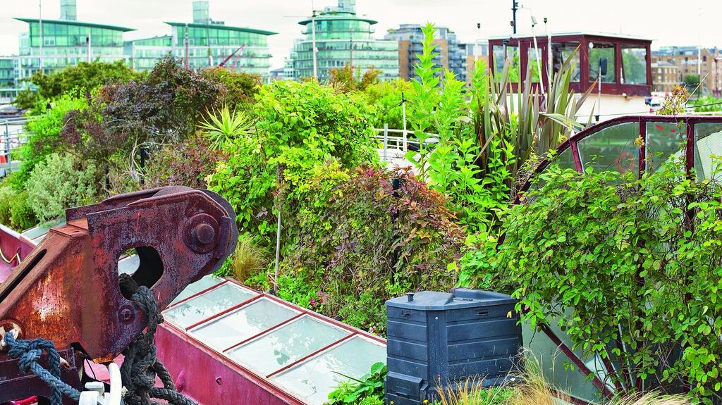 Compost bins and beehive nestle in the floating orchard barge in London created by kitchen gardener Nick Lacey – one of the innovative kitchen gardens that features in Lia Leendertz’s book, My Tiny Veg Plot