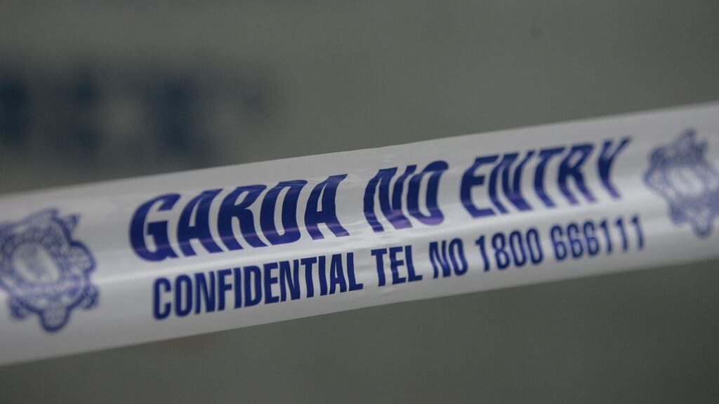 Gardaí are investigating the discovery of the body in a field in Swords, Co Dublin.