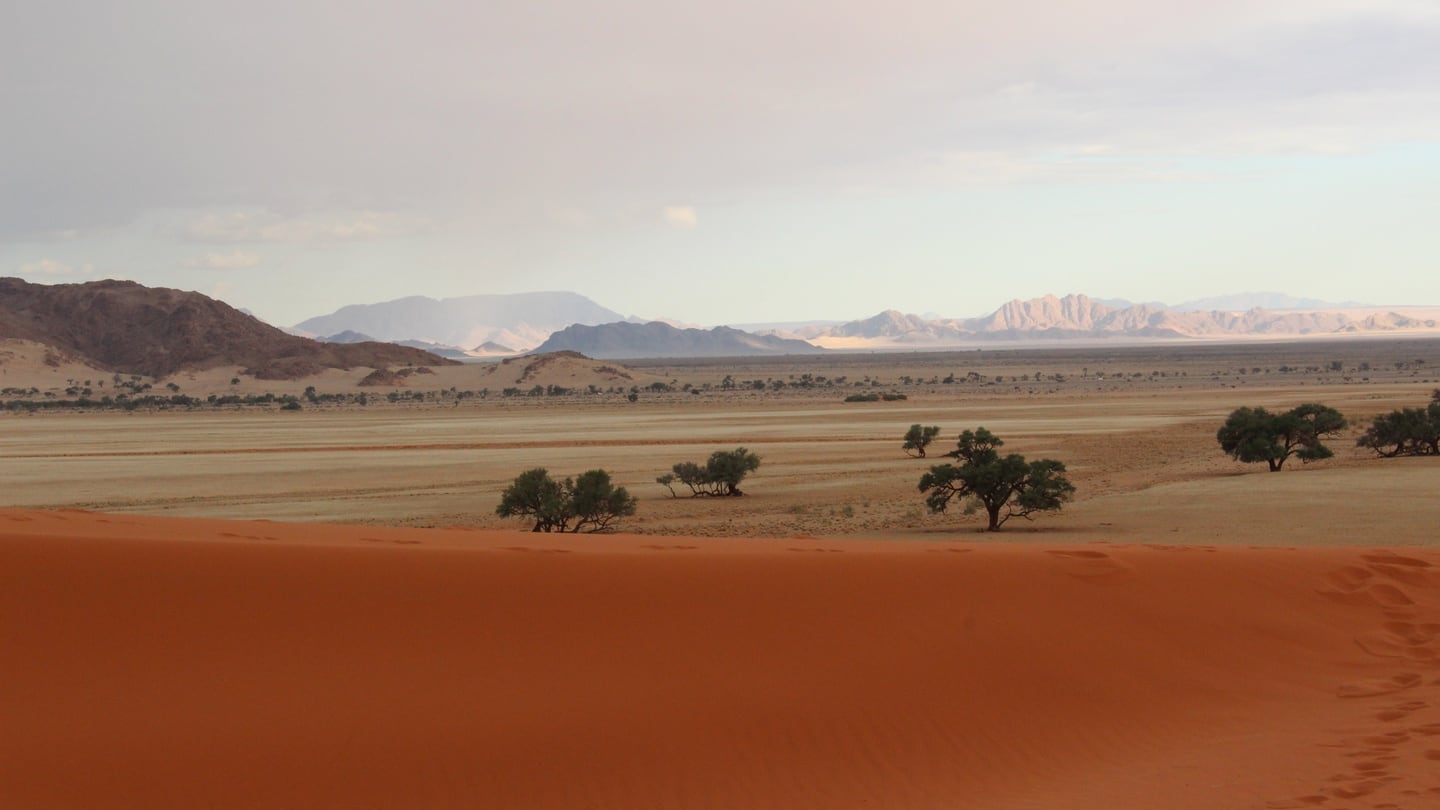 Photograph: Joseph Woods