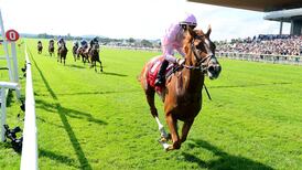 Pádraig Beggy lands another long-shot Classic as Sovereign wins Irish Derby