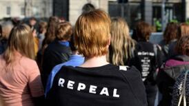 Abortion vote tracker: check how TDs and Senators plan to vote in referendum