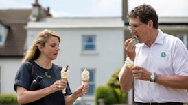 Green Party ‘had good run’, says Ryan, despite support drop to 8%