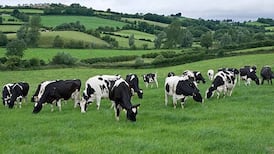 ‘Completely insufficient’: 2050 climate strategy for farming criticised