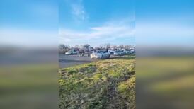 Gardaí make appeal for information after dangerous sulky race on N20 in Croom